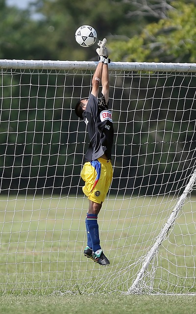 应对挑战 应对挑战