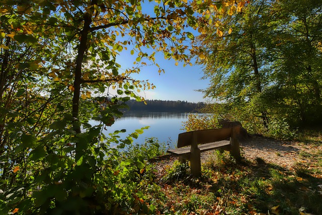 缺席期间寻 缺席期间寻