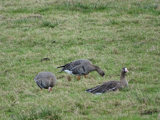 以往的案例 以往的案例