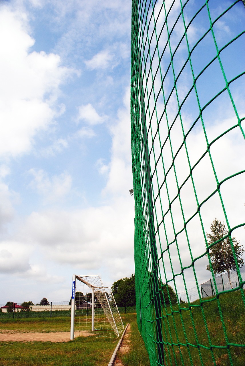 健康水平的 健康水平的