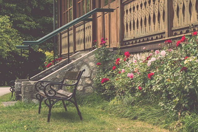 唐斯的伤情 唐斯的伤情