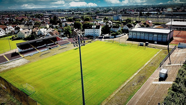 需要强调的 需要强调的