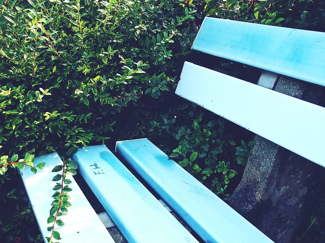 是巨大的激 是巨大的激