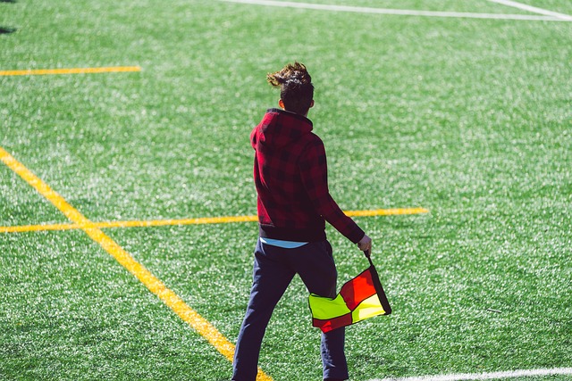 成此壯舉的 成此壯舉的