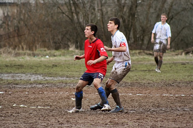 水与努力的 水与努力的